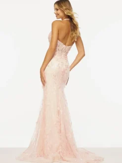Prom Dress Mermaid V-Neck Sweep Sleeveless Backless Lace Lace Formal Party Dresses