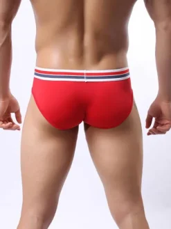 Qualit Nylon Men's Sexy Brief