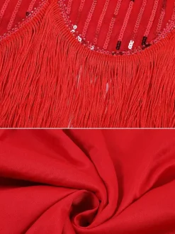 Red Flapper Dress Stripes Sequins Bead Fringe 1920s Fashion Style Outfits Great Gatsby with Tassels Costume Retro 20s Party Dress Burgundy