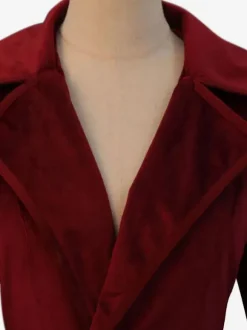 Red Retro Tudor Dress Costumes Polyester Overcoat Women's Retro Top Marie Antoinette Costume Party Prom Dress Burgundy
