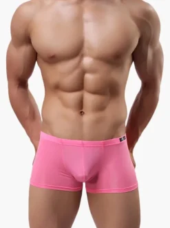 Semi-Sheer Nylon Men Sexy Panties