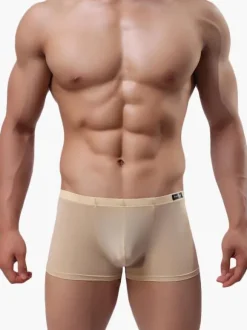 Semi-Sheer Nylon Men Sexy Panties