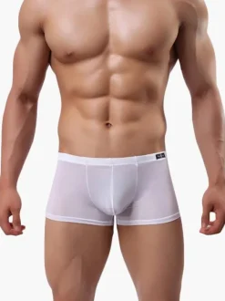 Semi-Sheer Nylon Men Sexy Panties