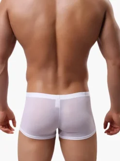 Semi-Sheer Nylon Men Sexy Panties