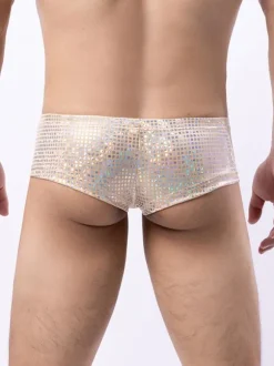 Sexy Panties For Men Black Polyester Brief Clothes Men's Lingerie