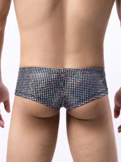 Sexy Panties For Men Black Polyester Brief Clothes Men's Lingerie