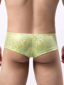 Sexy Panties For Men Black Polyester Brief Clothes Men's Lingerie