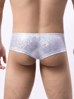 Sexy Panties For Men Black Polyester Brief Clothes Men's Lingerie