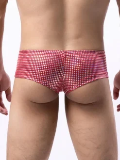 Sexy Panties For Men Black Polyester Brief Clothes Men's Lingerie