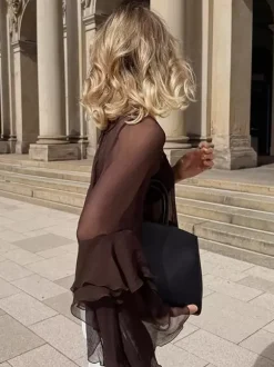 Sheer Chiffon Blouse Women's Flare Sleeve Top - Brown Boho Ruffle Tiered Loose Fit - Spring Party Night 2026