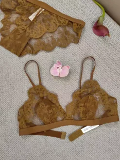 Sheer Lingerie Lace Red 2-Piece Bra Panty Sets