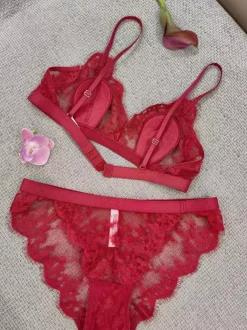 Sheer Lingerie Lace Red 2-Piece Bra Panty Sets