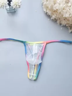 Sheer See Through String Male Sexy Panties Pouch Thongs Men Briefs Lingerie