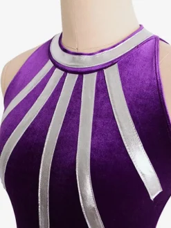 Skating Dress Purple Korean Velvet Two-Tone Dance Costumes