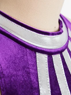 Skating Dress Purple Korean Velvet Two-Tone Dance Costumes