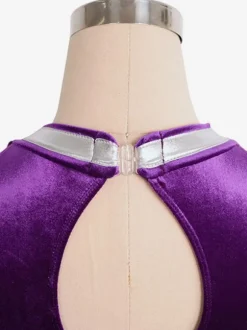 Skating Dress Purple Korean Velvet Two-Tone Dance Costumes
