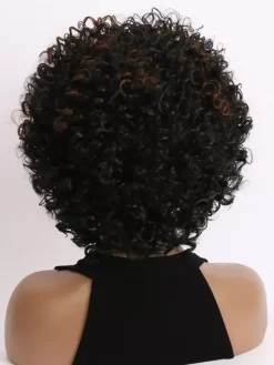 Small Curly Short Hair Daily Synthetic Wigs For Women 2026
