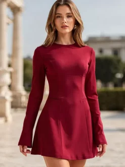 Sophisticated Structured Seam Long Sleeve Mini A Line Dress For Women 2026