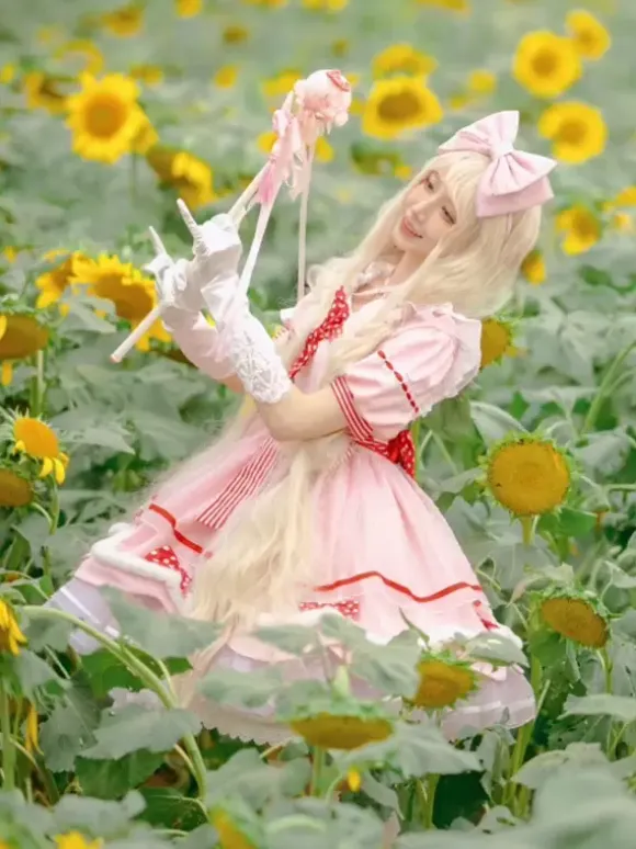 Sweet Lolita Dress Short Sleeves Sweet Dress Lolita Dress