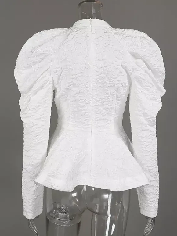 Textured Jacquard Puff Sleeve Blouse High Neck Peplum Waist Flared Hem Tops