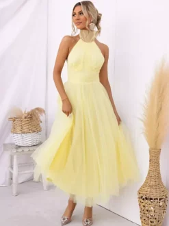 Tulle Midi Dress Halter Pleated Empire Waist Open Back Elegant Prom Dresses