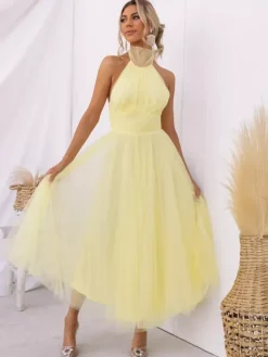 Tulle Midi Dress Halter Pleated Empire Waist Open Back Elegant Prom Dresses