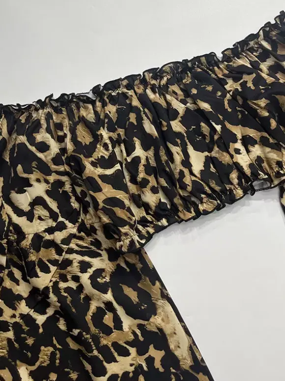 Two Piece Sets Leopard Leopard Print Daily Casual Strapless Long Sleeves Top Pant Set