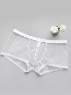 Underwear Lingerie Men Lingerie Male Sexy Panties Transparente Ture Red Lingerie