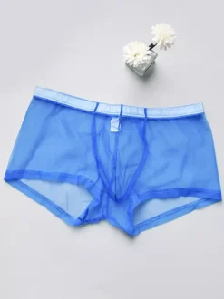 Underwear Lingerie Men Lingerie Male Sexy Panties Transparente Ture Red Lingerie