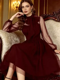 Vintage Dresses Women's Burgundy Tulle Midi Dress Sheer Long Sleeve Bow Neck Fit And Flare Dress