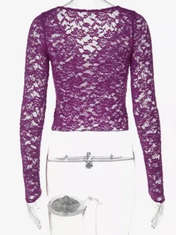 Violet Black Stretchy Sheer Lace Long Sleeve V Neck Cutout Cropped Blouse