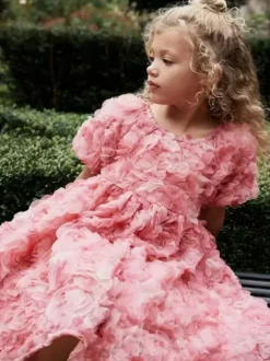 Wedding Flower Girl Dresses Special Occasion Dresses Pink Short Sleeves Ruffles