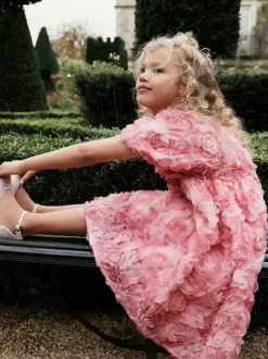 Wedding Flower Girl Dresses Special Occasion Dresses Pink Short Sleeves Ruffles