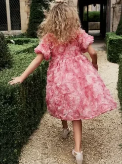 Wedding Flower Girl Dresses Special Occasion Dresses Pink Short Sleeves Ruffles