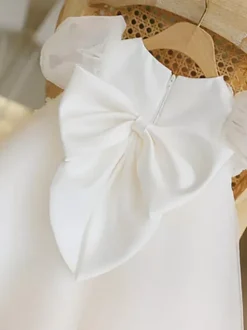 Wedding Party Dresses Wedding Beautiful Wedding Flower Girl Dress Flower Girl Dresses Formal Party Dress Short Sleeves Lace Ivory