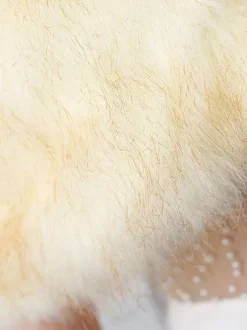 Wedding Wrap Beige Tops Faux Fur Bridal Cover Up