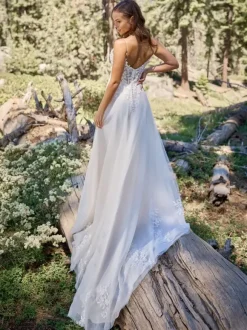 Wedding Dress V-Neck Sleeveless With Train Tulle Bridal Dresses