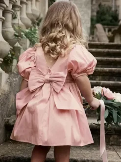Wedding Flower Girl Dresses Special Occasion Dresses Soft Pink Short Sleeves Bows
