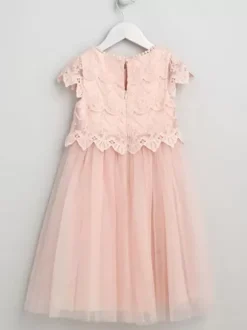 Wedding Flower Girl Dresses Special Occasion Dresses Soft Pink Short Sleeves Lace