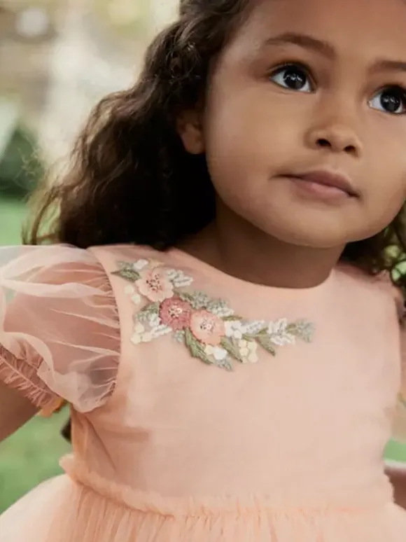 Wedding Flower Girl Dresses Special Occasion Dresses Soft Pink Short Sleeves Embroidered