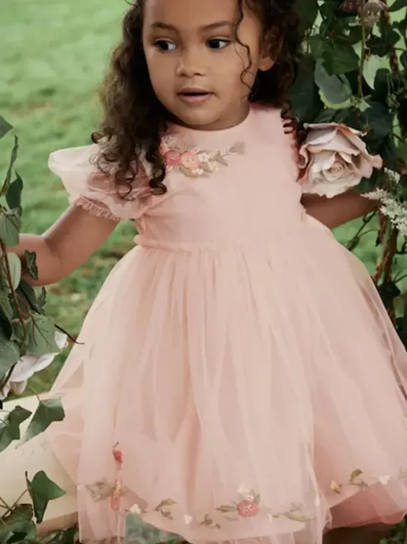 Wedding Flower Girl Dresses Special Occasion Dresses Soft Pink Short Sleeves Embroidered