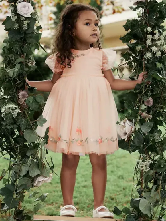 Wedding Flower Girl Dresses Special Occasion Dresses Soft Pink Short Sleeves Embroidered