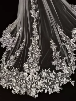 Wedding Veils Two-Tier Lace Tulle Lace Applique Edge Waterfall Bridal Veils
