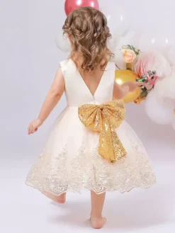 White Flower Girl Dresses Special Occasion Dresses Royal Blue Lace Sleeveless Jewel Neck Flower Girl Dresses