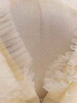 White Flower Girl Dresses Special Occasion Dresses Champagne Tulle Sleeveless V-Neck Flower Girl Dresses