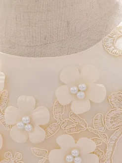 White Flower Girl Dresses Special Occasion Dresses Champagne Lace Sleeveless Jewel Neck Flower Girl Dresses