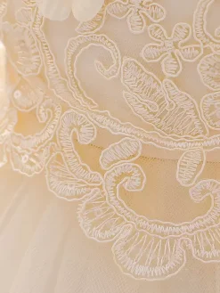 White Flower Girl Dresses Special Occasion Dresses Champagne Lace Sleeveless Jewel Neck Flower Girl Dresses