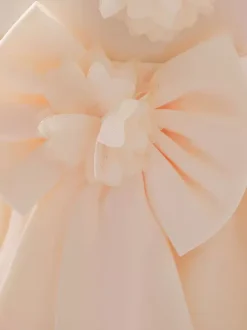 White Flower Girl Dresses Champagne Tulle Sleeveless Jewel Neck Flower Girl Dresses