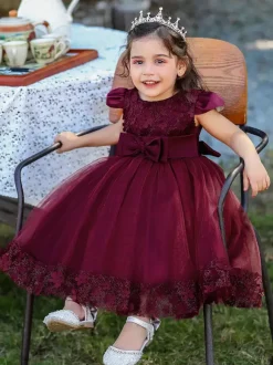 White Flower Girl Dresses Special Occasion Dresses Burgundy Lace Short Sleeves Jewel Neck Flower Girl Dresses