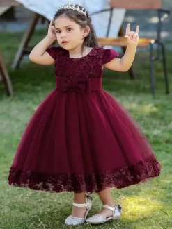 White Flower Girl Dresses Special Occasion Dresses Burgundy Lace Short Sleeves Jewel Neck Flower Girl Dresses
